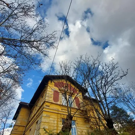 Vv Way - Lisica Zvitorepka Любляна