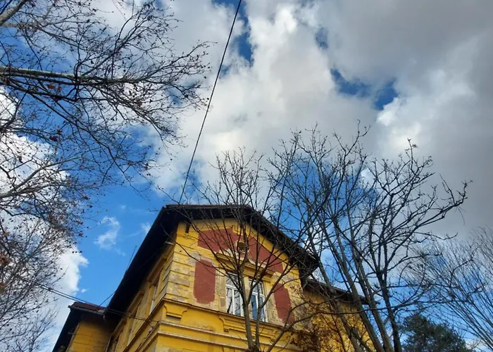 Vv Way - Lisica Zvitorepka Ljubljana