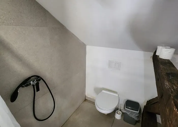 Vv Way - Lisica Zvitorepka *